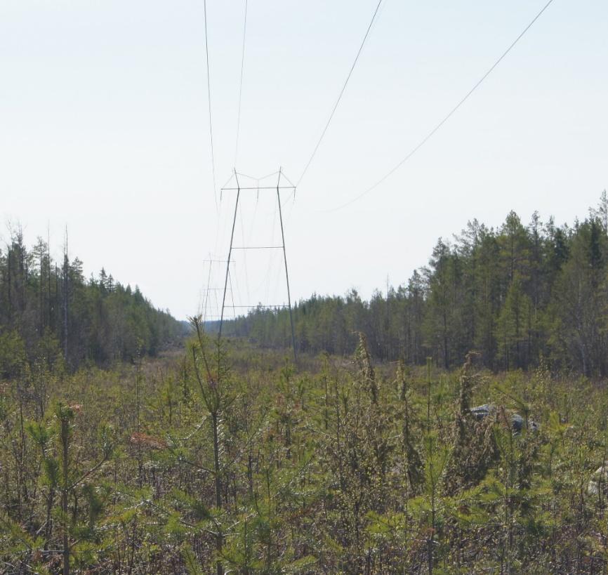 Ennakkohaltuunottosopimukset Metsähallitus on tehnyt suurimman osan maanomistajia kanssa sopimukset, joiden mukaan voimajohtoa saisi alkaa rakentamaan jo ennen lunastuslain mukaista haltuunottoa