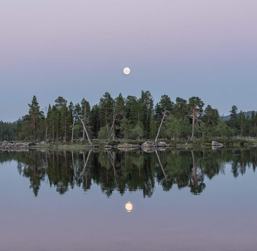 Millaisella Lappiimagolla? 8.10.2018 Toteutamme Lappi-brändiin ja Lapin matkailustrategiaan pohjautuvaa markkinointia.