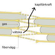 veden pintajännityksen seurauksena.