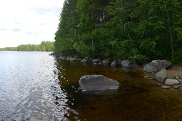 Kaikki Suomessa esiintyvät lepakkolajit ovat EU:n luontodirektiivin lajeja. Selvitysalueen joenvarren ympäristö soveltuu hyvin lepakoiden ruokailualueiksi.