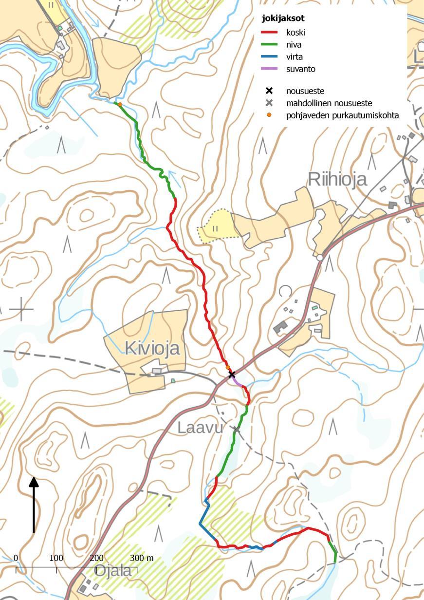 Kyseessä olevalle Äkönmaanojaan laskevalle purolle ei löytynyt nimeä (Kuva 13). Puro saa alkunsa yläjuoksulla sijaitsevalta Lauttasuon ojitetulta suoalueelta, ja sillä on kaksi sivuhaaraa.