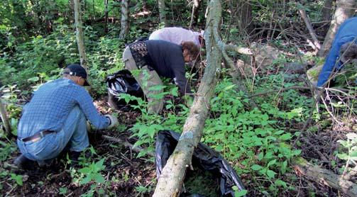 TR ASL LUONTOON O N TALOILLA L L A TRYTTÄ T TÄ ITSLL L JA LUONNOLL N O L L Terve askel luontoon -hanke on Allergia-, iho- ja astmaliiton ja WWF:n yhteinen, Sosiaali- ja terveysjärjestöjen