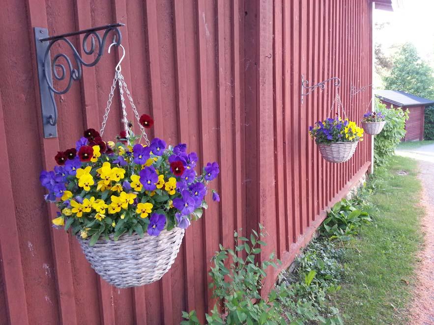 Hämeenlinnan kaupungin ympäristökatsaus ja ympäristötilinpäätös