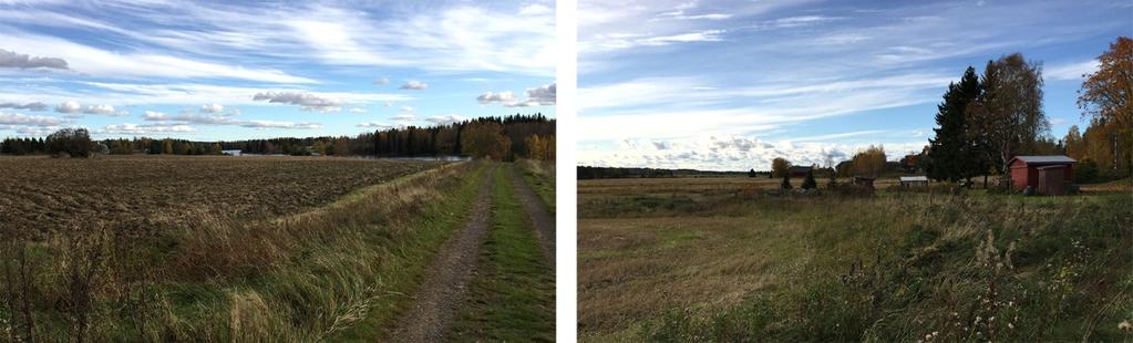 Selvitysalueen eteläosassa Marinkylässä Kymijoen länsipuolella avautuu näkymiä yhtenäisen peltoaukean poikki. Kymijoki näkyy paikoin näkymien päätteenä (Kuva 21).