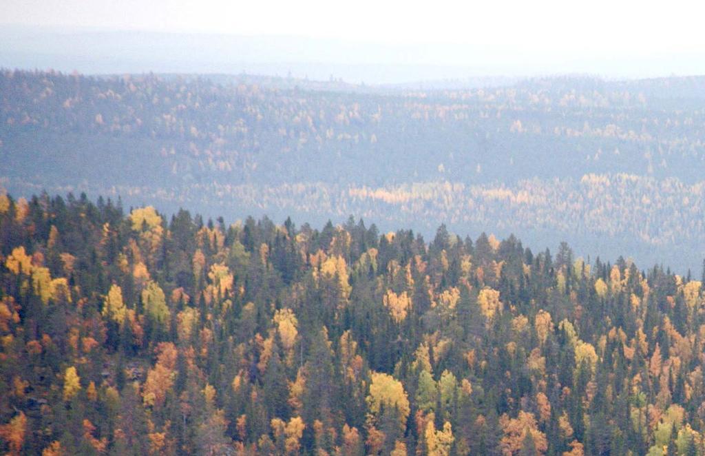 Puustotiedon keräämisessä siirryttiin laserkeilaukseen perustuvaan menetelmään. Suunnittelualueella keilausaineistoa on hankittu sekä omina hankkeina että yhteistyössä Suomen metsäkeskuksen kanssa.