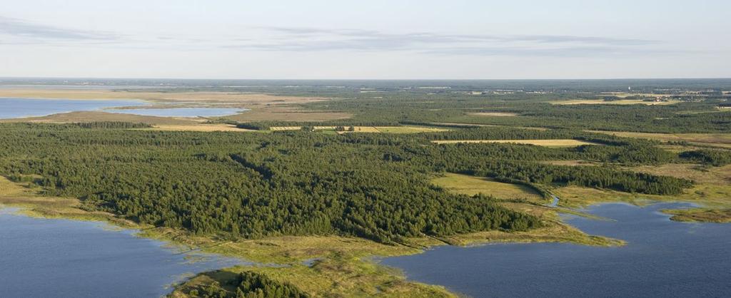 Selkämatala - Kuva: Jari Peltomäki Metsähallituksen hallinnassa oleva kokonaismaa-ala on Pohjanmaalla lähes miljoona hehtaaria.