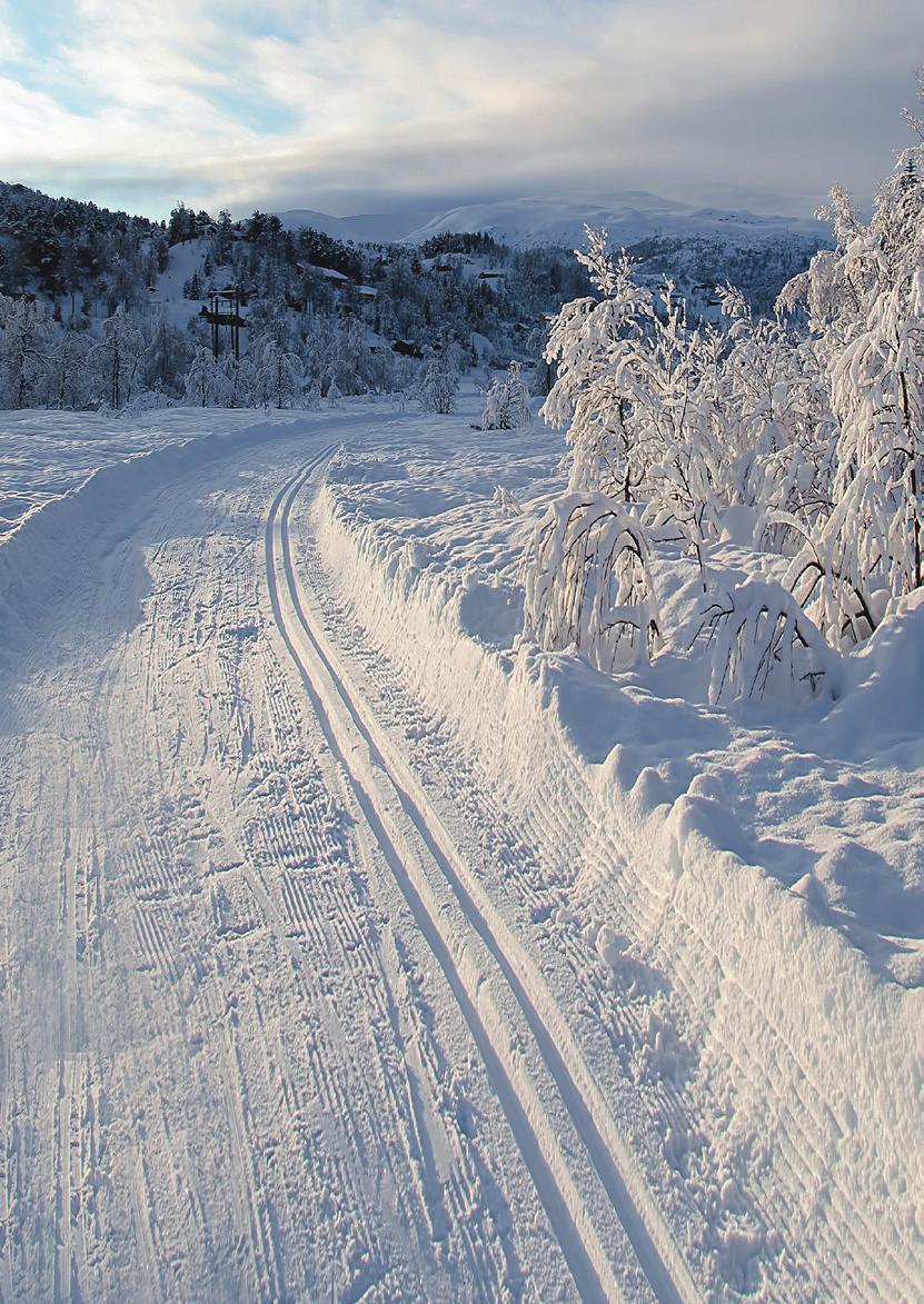 2019 Mediahinnasto Kainuun Sanomat www.kainuunsanomat.