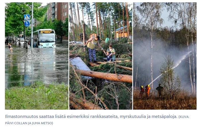 Suomenlahti levän peitossa.