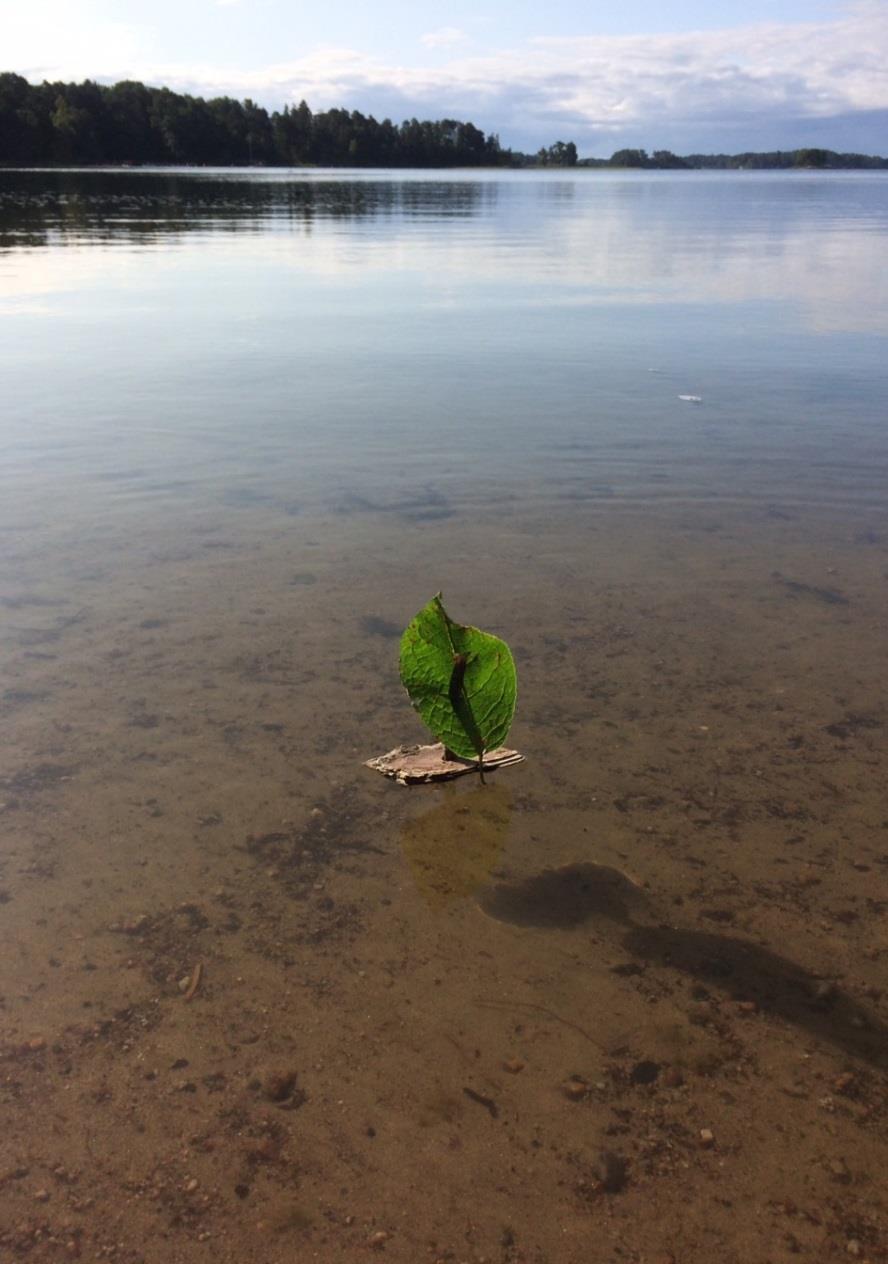 Oppimisen alueet Kielten rikas maailma Päiväkodissamme on useita eri kieliä (enemmistö), suomen kieltä harjoitellaan esim. kuvien, laulujen ja lorujen avulla.