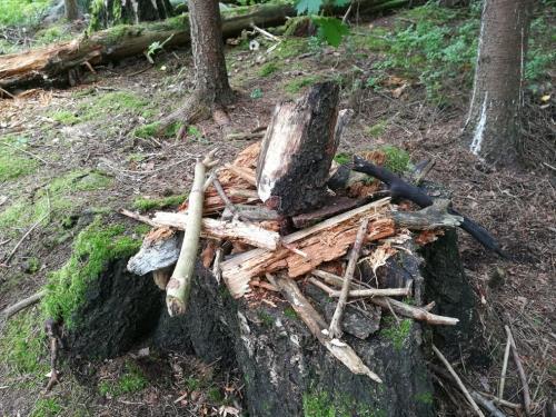 Minä ja meidän yhteisömme Luonteva yhteistyö palvelutalon ikäihmisten kanssa, yhteisiä satuhetkiä, askarteluja ja lauluhetkiä.