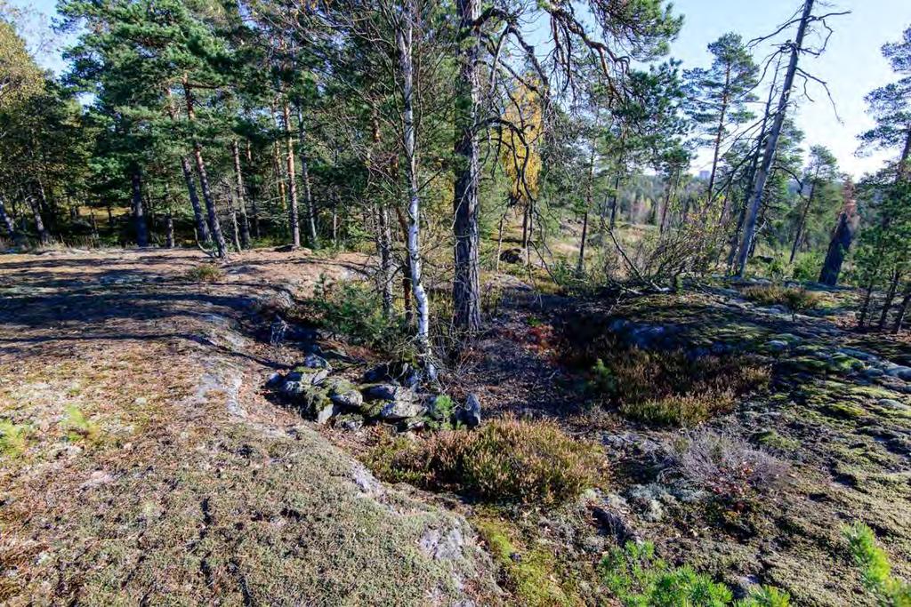 Telegrafberget, 613010065 Muinaisjäännöstyyppi: kivirakenteet Alatyyppi: röykkiöt Lukumäärä: 1 Ajoitus: historiallinen Laji: kiinteä muinaisjäännös ETRS TM35FIN: P: 6686210 I: 4148473 Z: 40 45 TM35