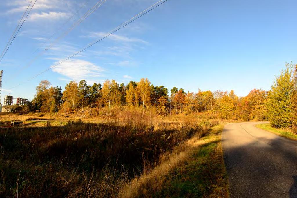 Nya Skölvik on pahoin pusikoitunut, kuva idästä.