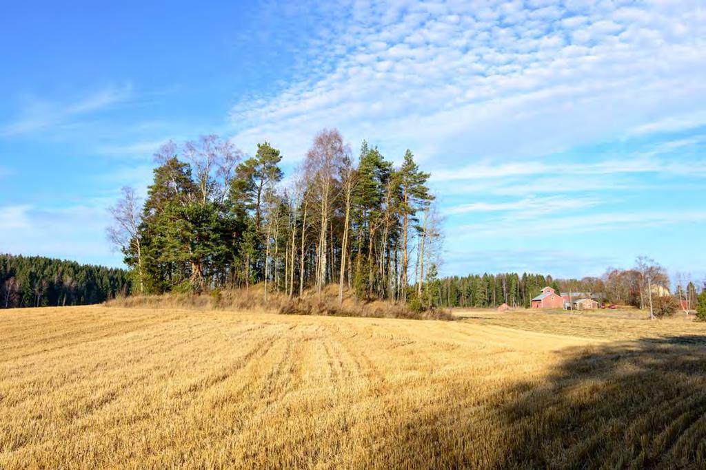 Asuinpaikka sijaitsee kuvan keskellä olevassa