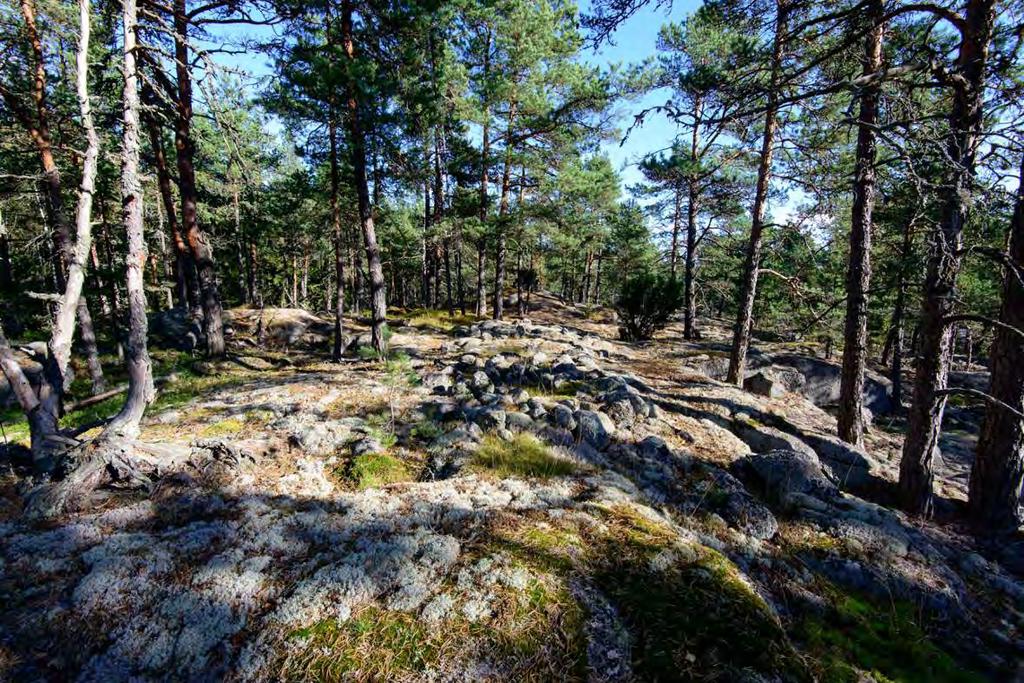 Pedarsändan, 613010049 Muinaisjäännöstyyppi: hautapaikat Alatyyppi: hautaröykkiöt Lukumäärä: 1 Ajoitus: pronssikautinen Laji: kiinteä muinaisjäännös ETRS TM35FIN: P: 6683674 I: 418403 Z: 20 TM35