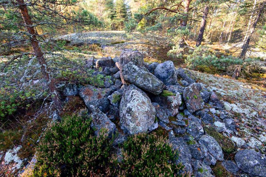 Rantakylä, 1000021242 Muinaisjäännöstyyppi: kivirakenteet Alatyyppi: rajamerkit Lukumäärä: 1 Ajoitus: keskiaikainen Laji: kiinteä muinaisjäännös ETRS TM35FIN: P: 6688043 I: 418423 Z: 21 TM35