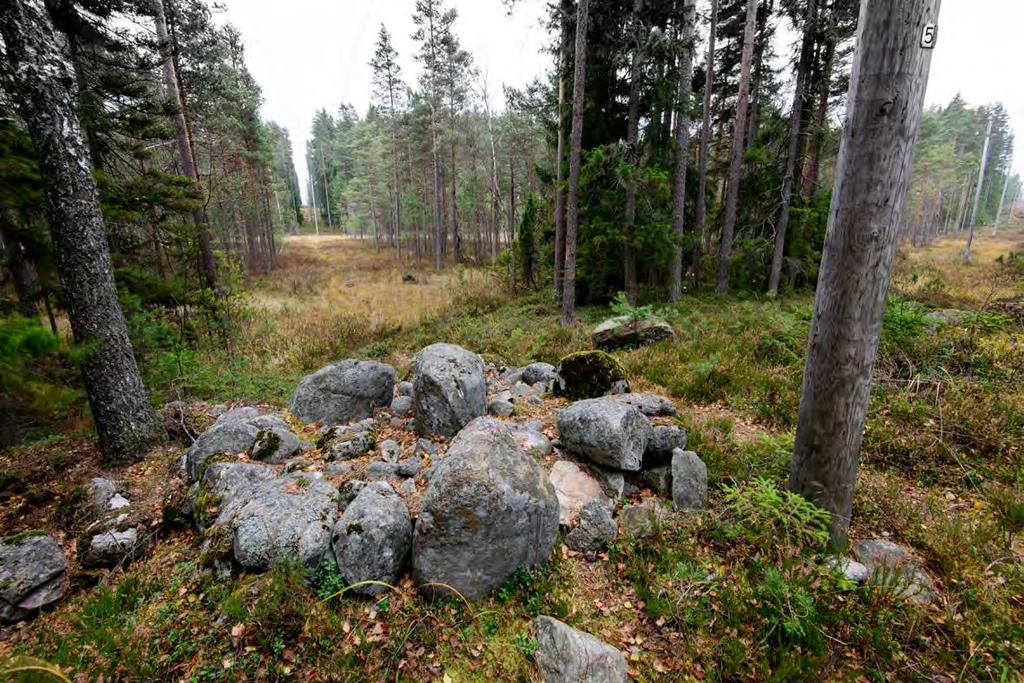 Råfuruholmen (uusi kohde) Muinaisjäännöstyyppi: kivirakenteet Alatyyppi: rajamerkit Lukumäärä: 1 Ajoitus: keskiaikainen Laji: kiinteä muinaisjäännös ETRS TM35FIN: P: 6685181 I: 415204 Z: 21 TM35