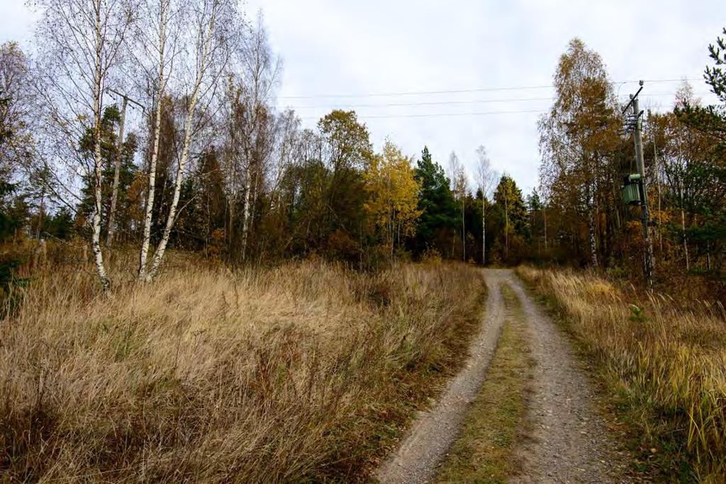 (AKDG4577_1)  Torpan paikka tien vasemmalla puolella