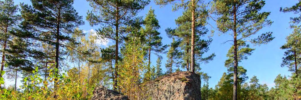 Svartbäck Nikuviken 2, 1000014562 Muinaisjäännöstyyppi: raaka aineen hankintapaikat Alatyyppi: louhokset Lukumäärä: 1 Ajoitus: historiallinen Laji: kiinteä muinaisjäännös ETRS TM35FIN: P: 6684502 I: