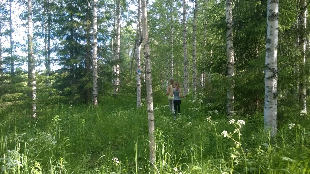 Puheenjohtajan kynästä Katsaus menneeseen ja kurkistus tulevaan... Kolean ja sateisen kesän jälkeen on mukavaa sulkeutua kotilieden lämpöön ja kynttilän valoon.