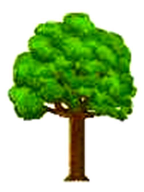 SISÄTAUDIT
