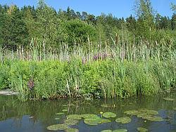Järvet Suomen pinta-alasta noin