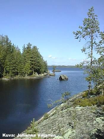 =runsasravinteinen Oligotrofinen