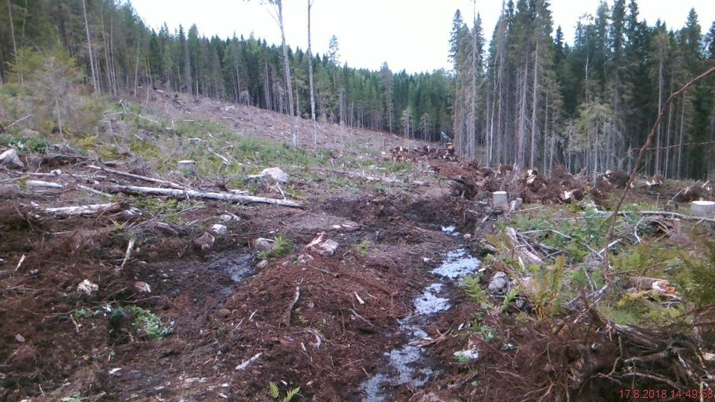 ravinteiden huuhtoutumisen sekä