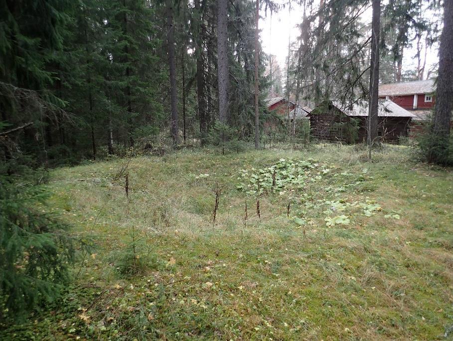 kivistä ja siitä ulkonee puinen