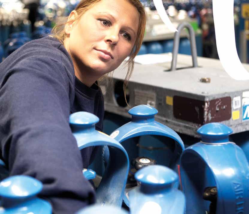 Air Liquide Pohjoismaissa: ~ 500 työntekijää > 50 tuotantolaitosta ja hallinnollista yksikköä > 50 000 asiakasta ~ 400 jälleenmyyjää/edustajaa ~ 203 miljoonan euron myynti (2016) Air Liquide on