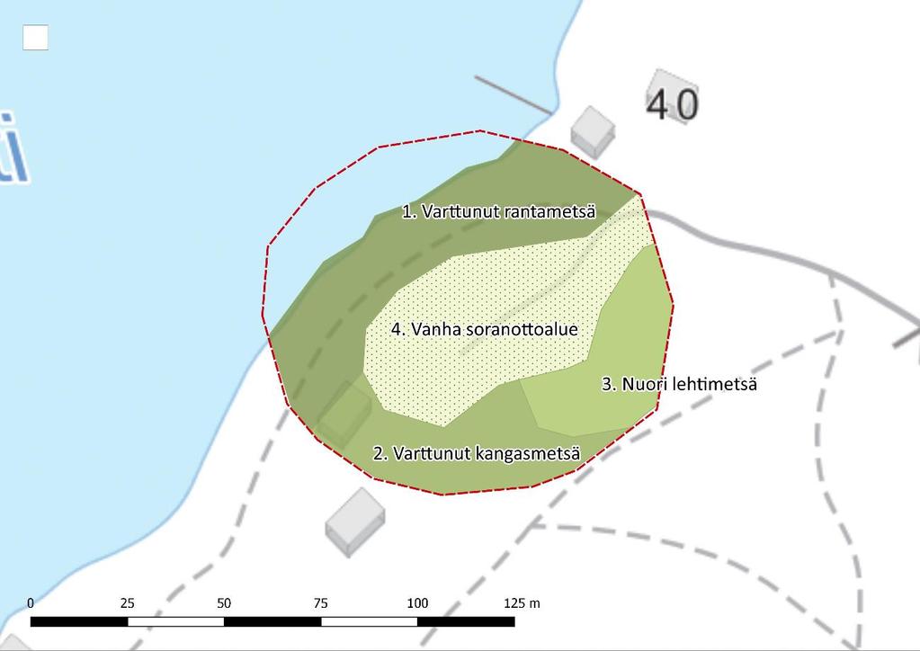 Seuraavassa kuvataan tarkemmin selvitysalueiden luontotyypit metsä- tai maankäyttökuvioittain. 3.1.