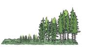 Kasvatusmetsä Uudistuskypsä metsä Päätehakkuu Jatkuva kasvatus Uudistaminen?