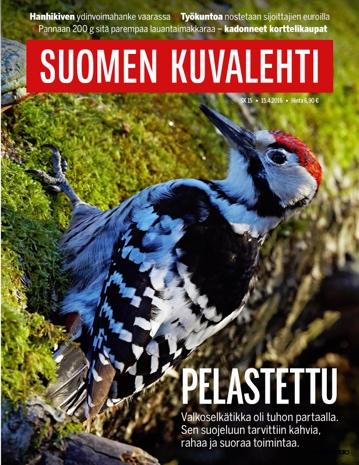 Eniten politiikasta ja