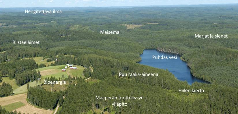 Ilmastonmuutoksen hillinnän (hiilen sidontaa) ja sopeutumisen (sääja ilmastoriskien hallintaa) yhteistyö korostui Pariisin