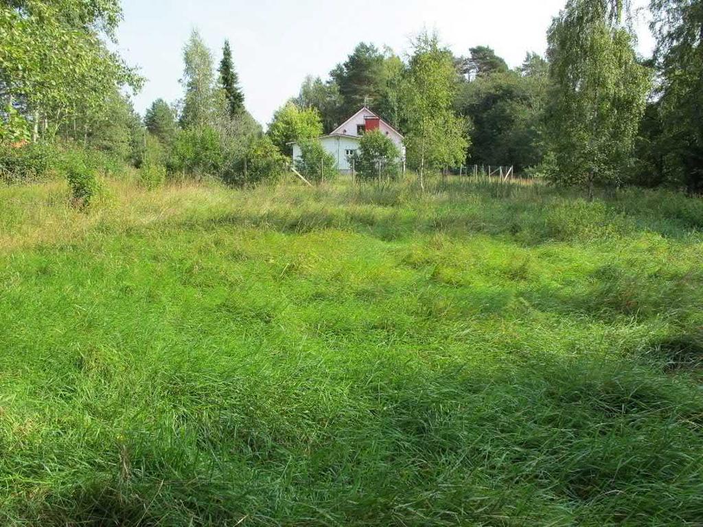 Osa-alueen etelä- ja itäosassa on rakennuksia ja pihapiirejä sekä niihin rajautuvaa sekapuustoa. Alueella on pieniä entisiä peltotilkkuja, jotka ovat nykyisin heinävaltaisia (kuva 10). Kuva 10.