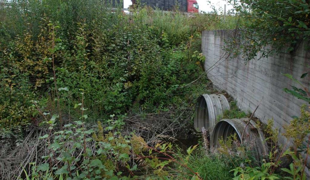 Tämän jälkeen oja jatkuu vesipinnaltaan noin 3 4 metrin leveänä suoralinjaisena ojana kohti Valtatie 3:a (kuva 3).