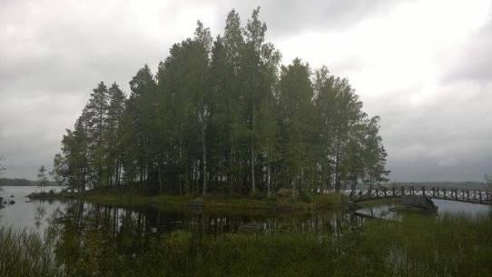 KANGASNIEMEN KUNTA Ketunkolon alueen asemakaava Selostusosa, luonnos 11.9.