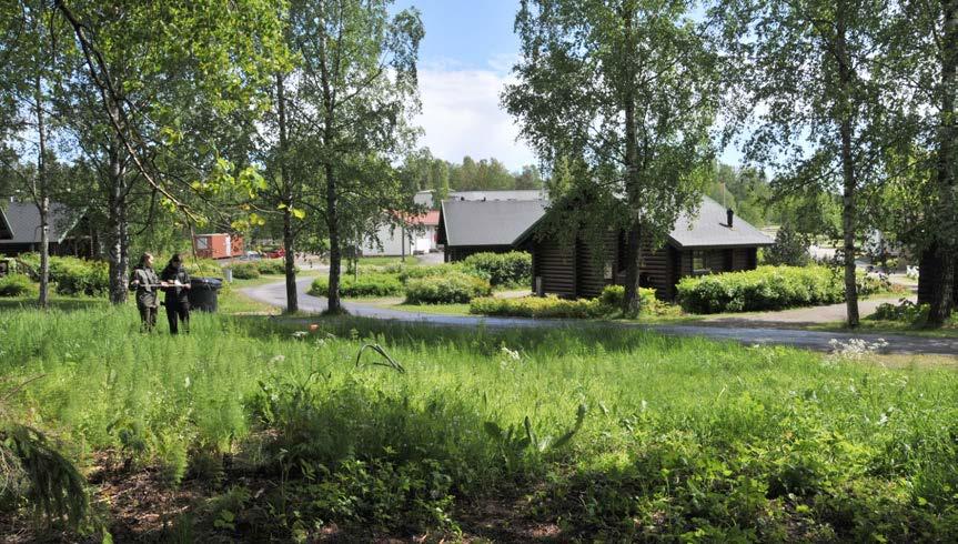 Yleiskuva alueesta. Kaivausalue kuvassa keskellä. Kuvaaja Joanna Veinio. RASTILAN LEIRINTÄALUE Rastilan leirintäalue sijaitsee Itä-Helsingin Vuosaaressa.