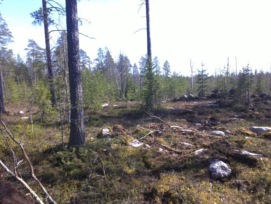 1 Ii Myllykankaan