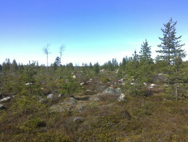 2011 mutta nyt katsottiin liepeineen vielä uudestaan, koska lähialueella useita muinaisjäännöksiä ja paikan lähistöllä on kohtalaista topografiaa