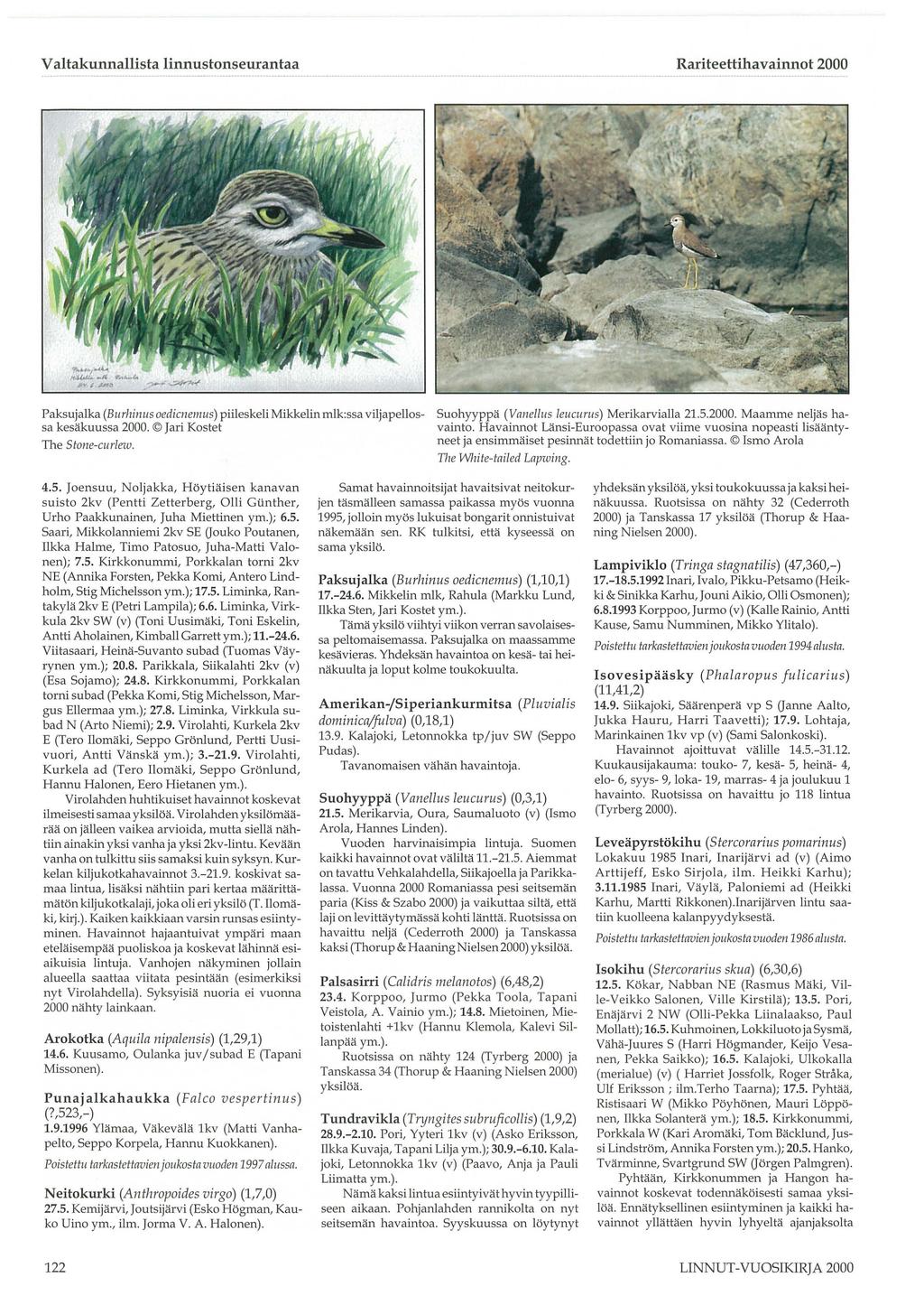 Valtakunnallista linnustonseurantaa Rariteettihavainnot 2000 Paksujalka (Burhinus oedicnemus) piileskeli Mikkelin mlk:ssa viljapellossa kesäkuussa 2000. Jari Kostet The Stone-cur/ew.