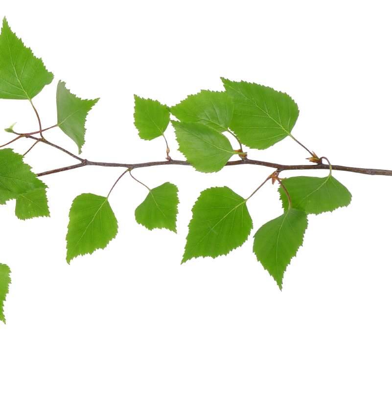 Mutta mitä itsemääräämisoikeus tarkoittaa ja kuinka sen tulee näkyä työssämme?