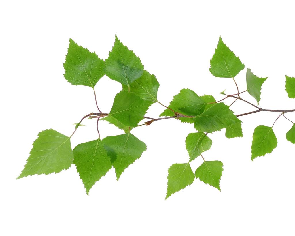 monipuolisia koulutusmahdollisuuksia