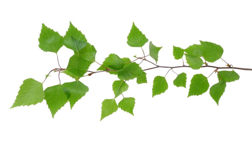 Tarvitsemme toinen toistamme, mutta myös muiden ihmisten auttavaa kättä.