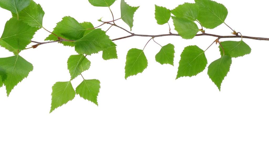 Vahvalla kokemuksella kohti uusia mahdollisuuksia Kehitysvammaisten Palvelusäätiön 100 % omistamana osakeyhtiönä Tukena on osa KVPS-konsernia.