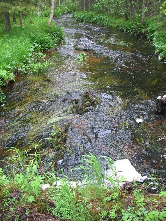 14/25 4.4 Myllylaki (12854121) Myllylaen III luokan pohjavesialue sijaitsee Saukonmäen 1-luokan pohjavesialueen koillis- ja pohjoispuolille kerrostuneessa harjumuodostumassa.
