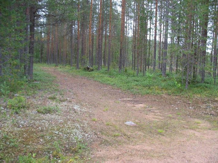 7/25 Myllykankaan pohjavesialueen keskiosaan tehtiin yksi maaperäkairaus, PVP2.