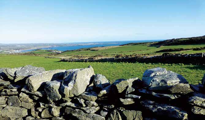 Isle of Man en varroafri region i Irländska sjön Mansaari varroaton alue Irlanninmeressä En fyra personer stark trupp från Ålands biodlarförening landade tisdagen den 13.2.