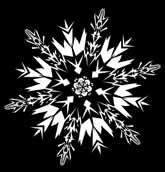 21369454 520g x 8 kpl x(0f5aa2*morknk( Pakasteet 24