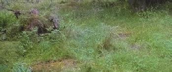Erilaisia inventointiluokkia esiintyy virkistysalueilla 36 kpl. Inventointiluokat on jaettu teemakarttoja vastaaviin luokkiin vastaavalla tavalla kuin kuvassa 4.