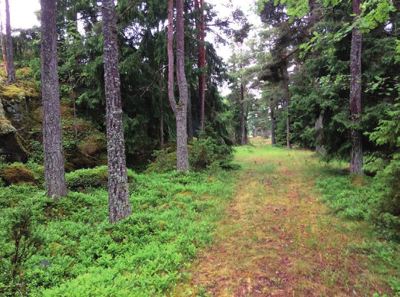 10.13 Porsö Porsö tarjoaa hienoja näkymiä ja kosketuksia sankkaan saaristometsään ja sen kosteikkoihin, aavalle ulapalle avautuvia kalliorantoja, vanhoja ja nykyisiä asuinsijoja ja puolustusvoimilta